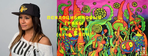 метадон Абинск