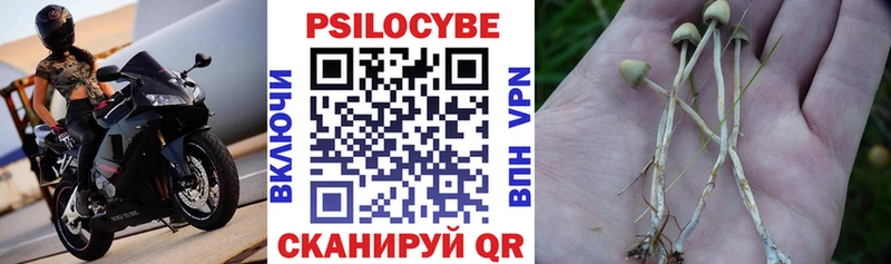 кракен вход  Анадырь  Галлюциногенные грибы Psilocybine cubensis  наркошоп 